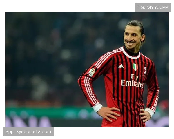 伊布家里那车库能改成俱乐部了，普通人想都不敢想啊