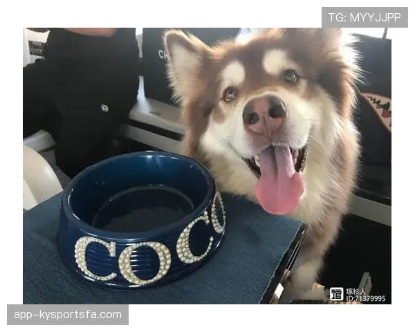 史梦瑶每天喝的水都是定制的，我连她家狗喝啥牌子都好奇